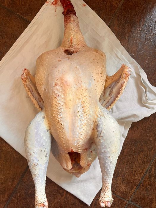 Продается мясо гусей индюков