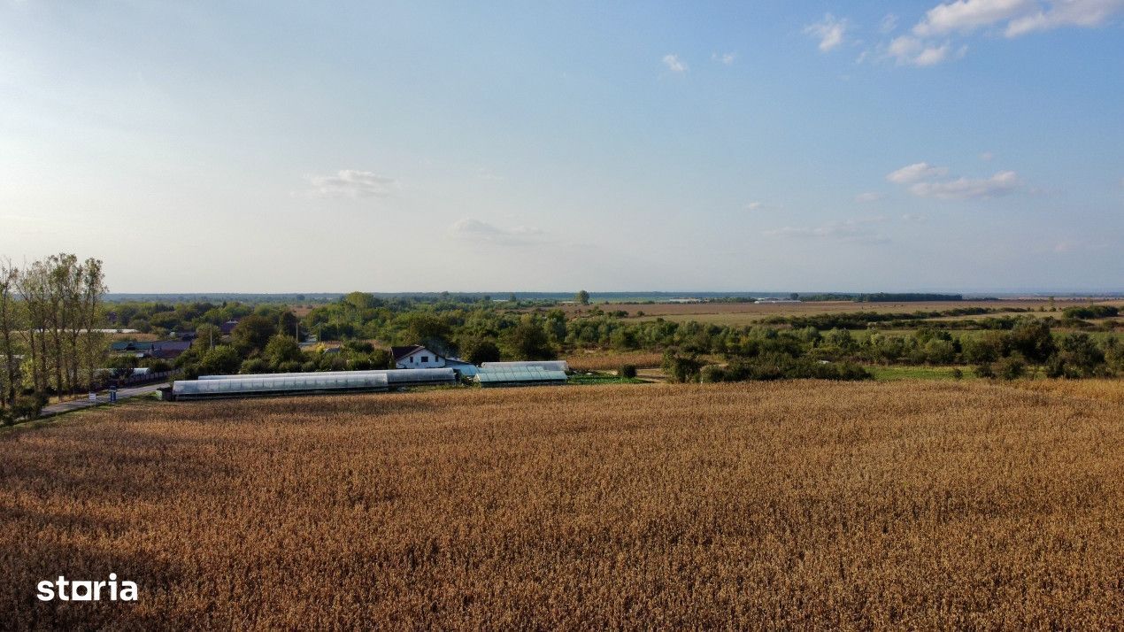 Teren rezidential retras langa lac SNAGOV in Silistea Snagovului, DN1,