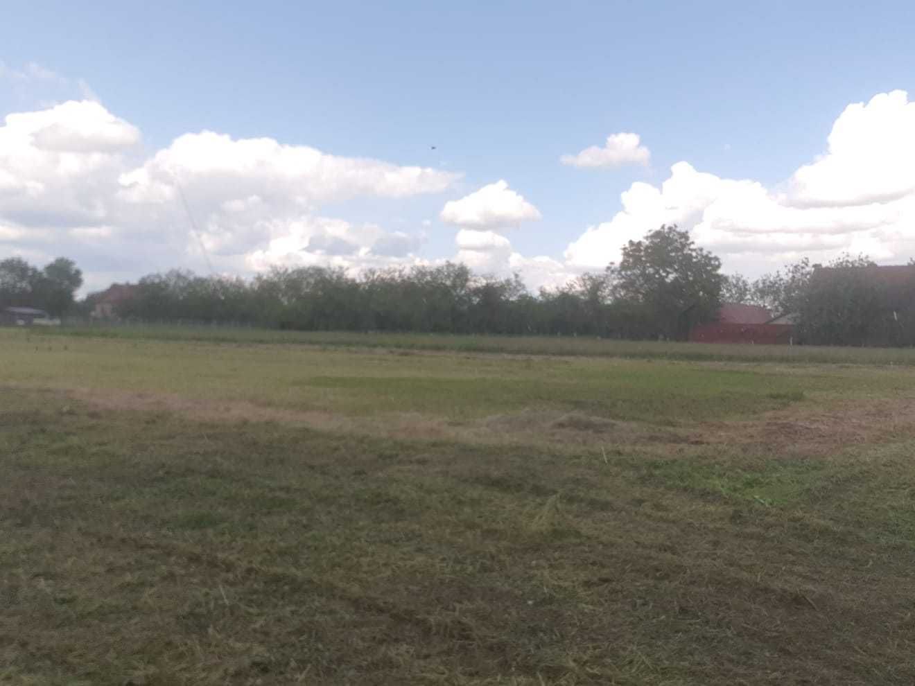 Vand teren Hitiaș, Timis