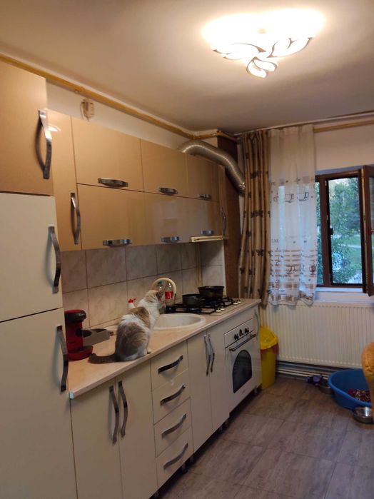 Vând apartament in Lupeni
