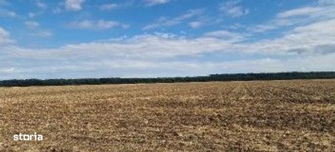 Teren extravilan Branesti, ID: R2649181