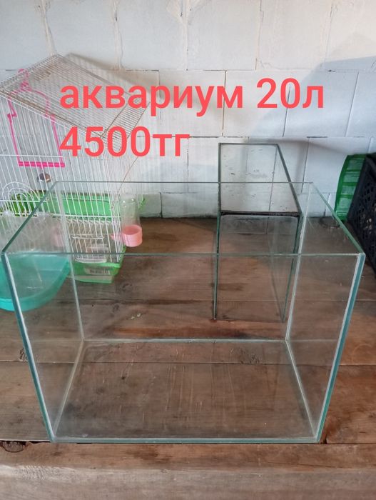 Аквариумы и клетка для попугаев