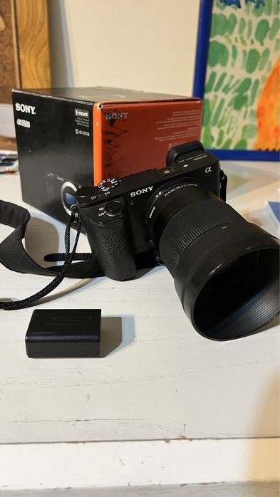 sony alpha 6500 + sigma 30mm