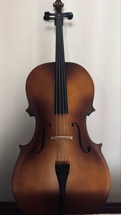 Violoncello+arcusi,husa