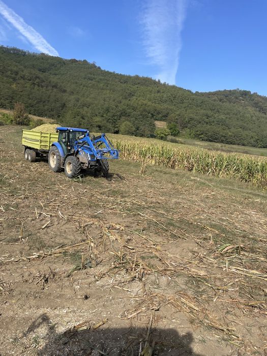 Porumb siloz recolta 2025