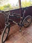 Bicicleta adulți