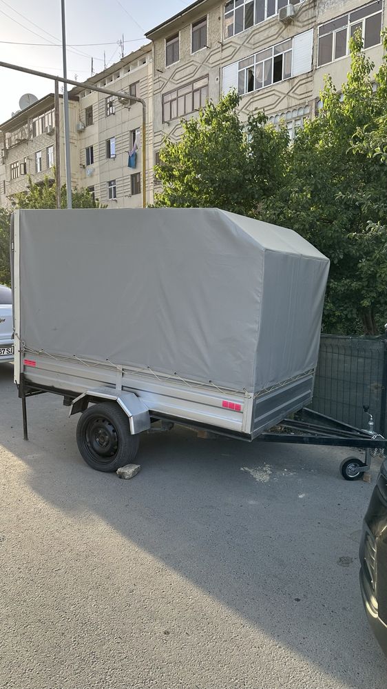 Pirsep sotila 1300$ yana kelishamiz