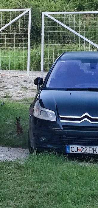 Citroen c4 2.0 hdi