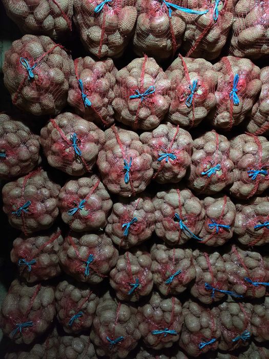 Vand cartofi de consum