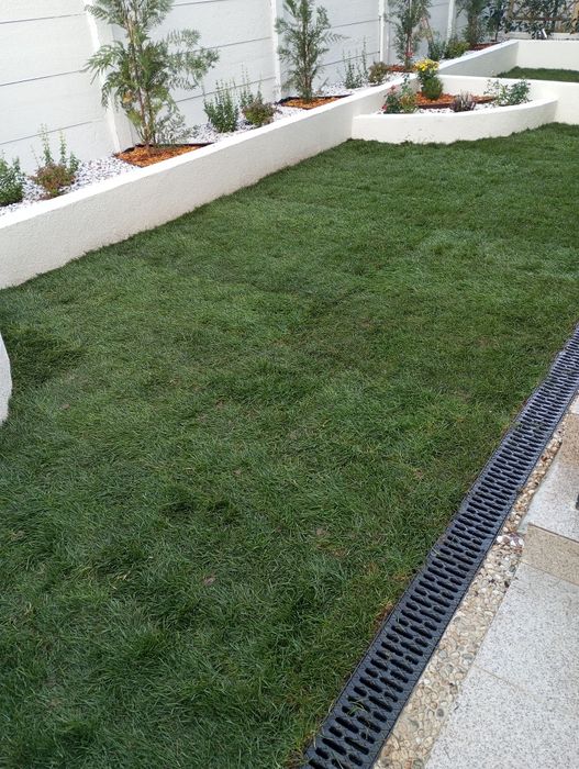 Vând și montez gazon Rulou și sistem de irigare