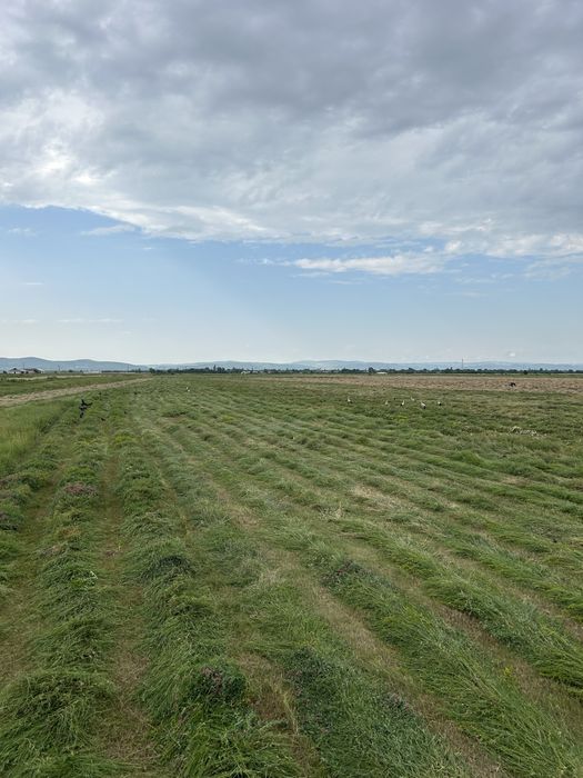 Vand baloti rotunzi de fan