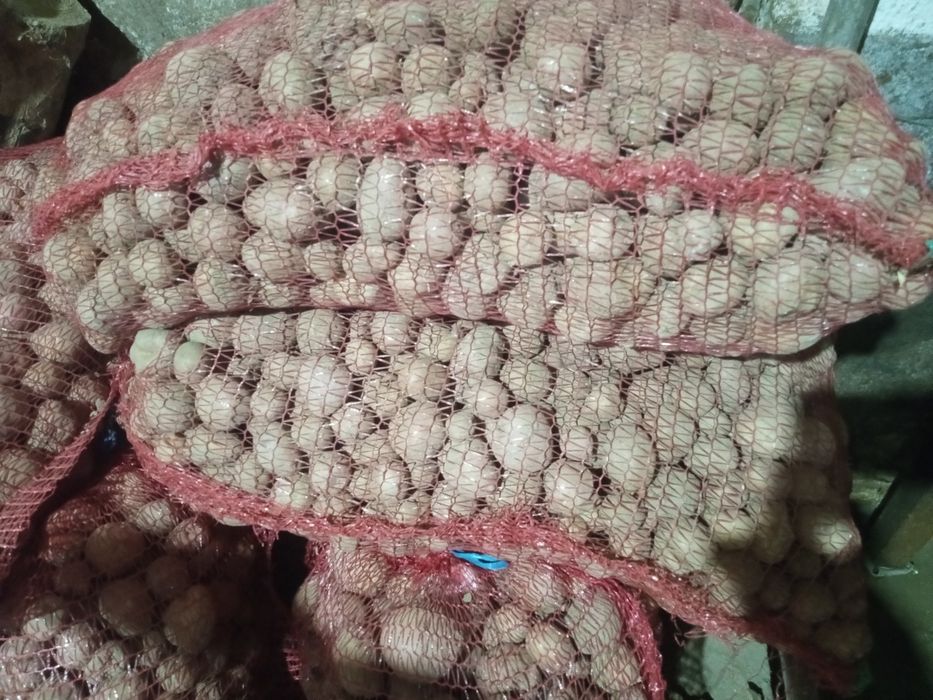 Cartofi pentru animale