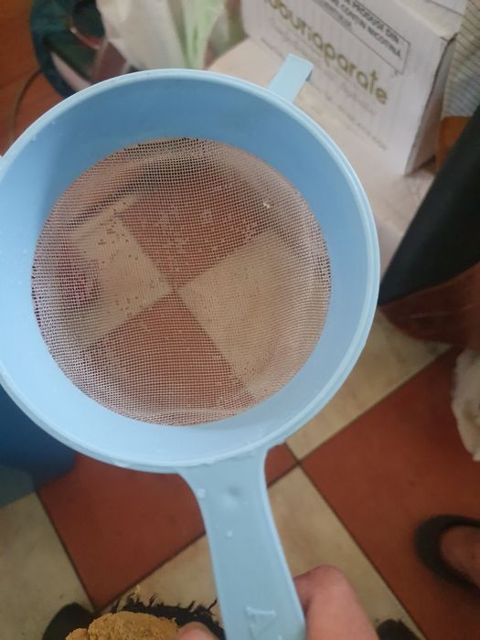 Vand ciuperca de kefir de lapte 1 lingura