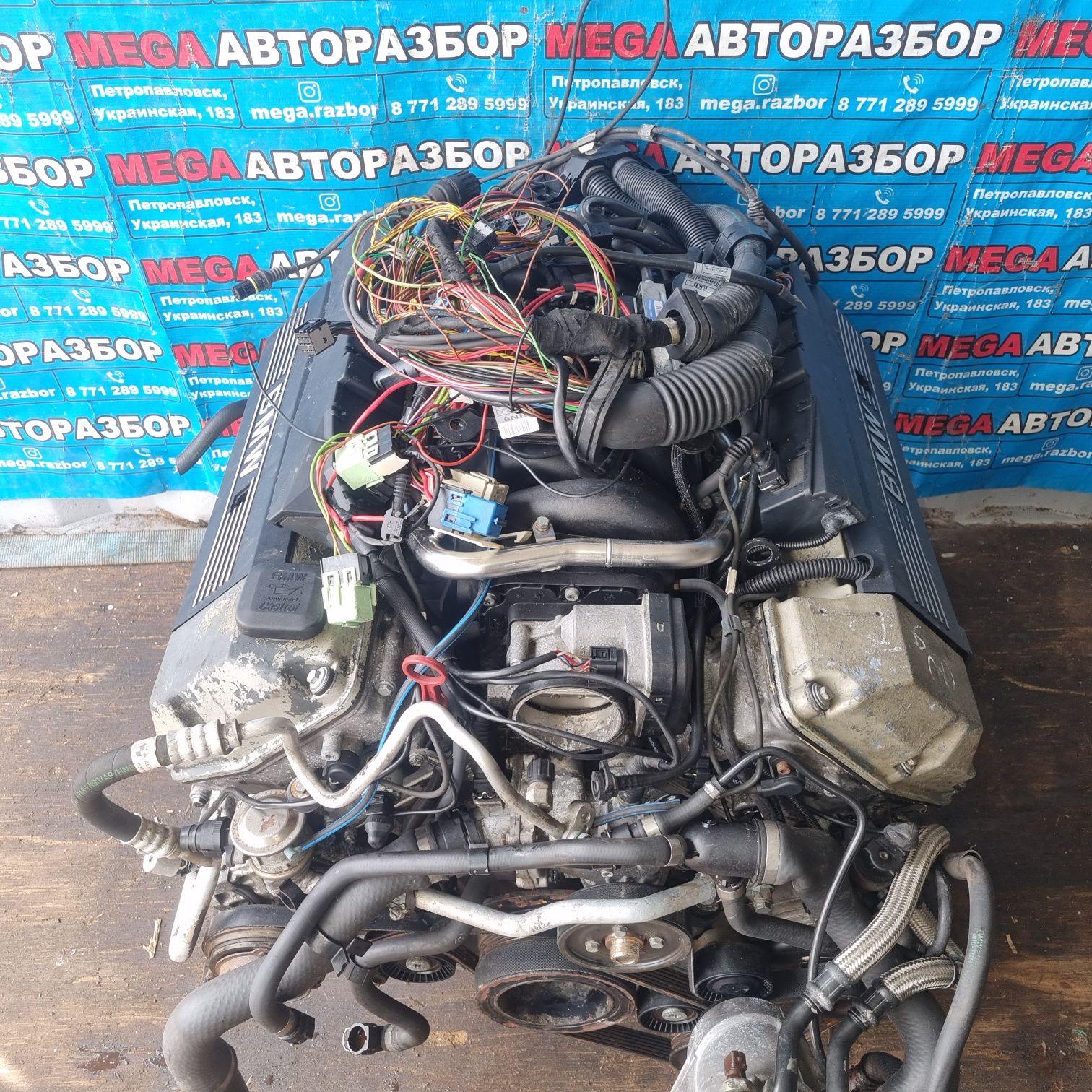 Двигатель M62B44 на BMW E53
