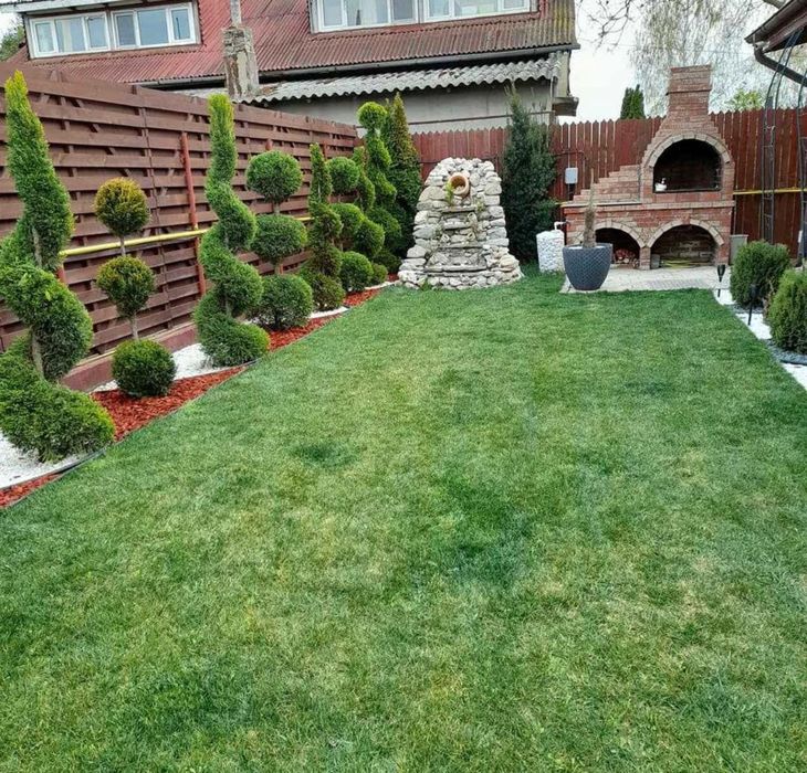 Rulouri de gazon Plante ornamentale