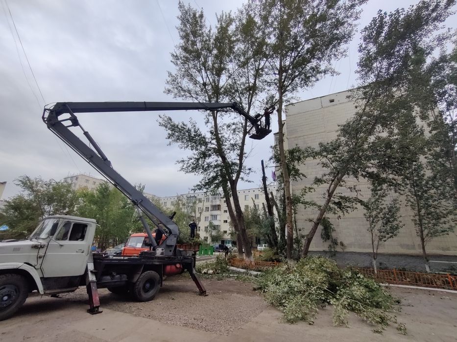 Спил деревьев и кустарников, спилить дерево и кустарники