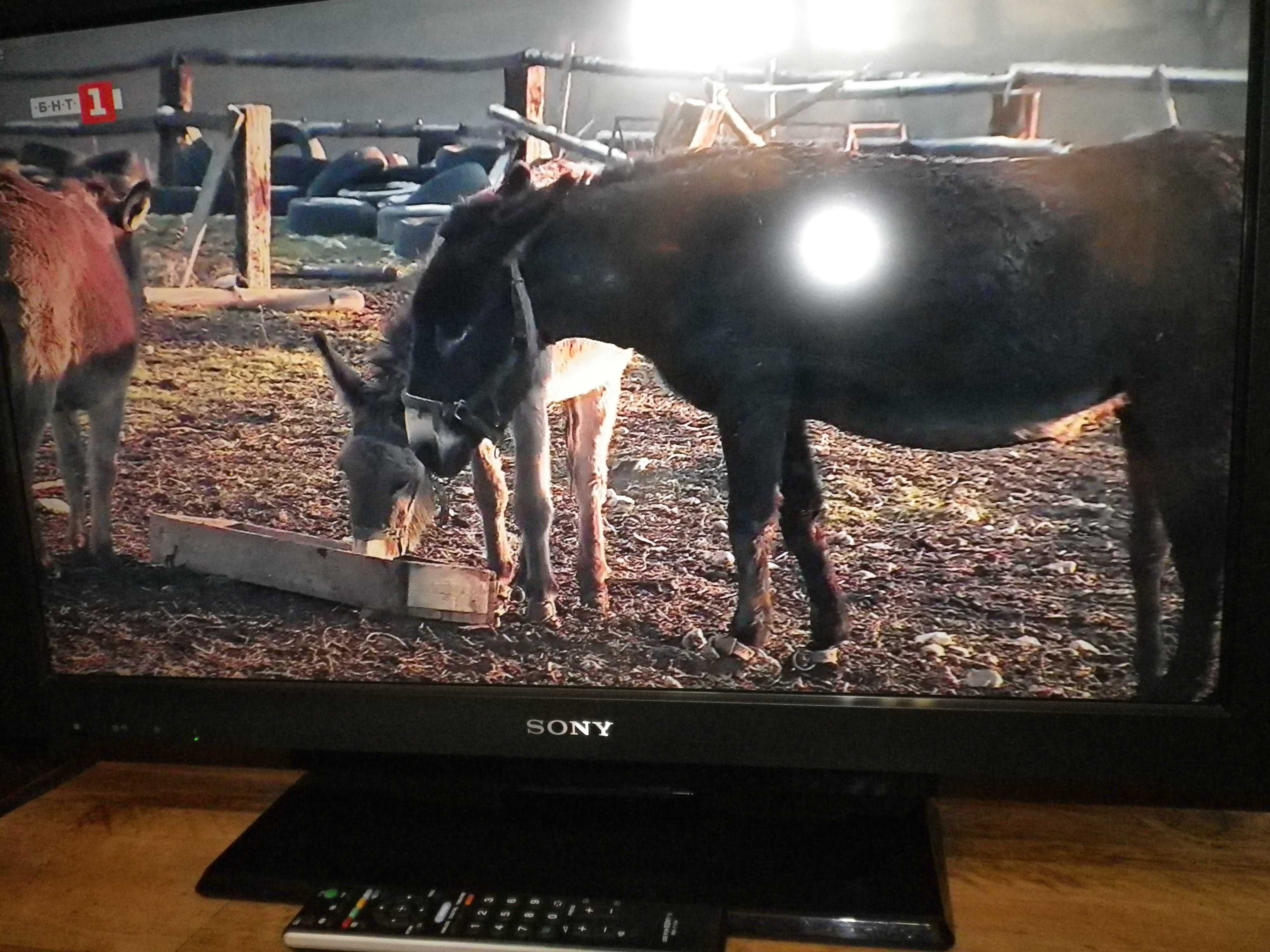 SONY KDL-32S5500