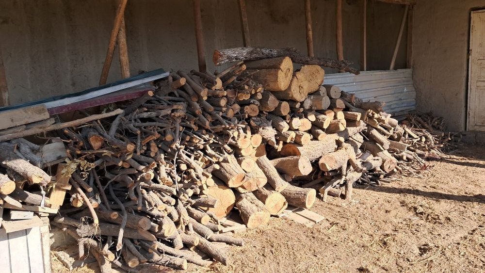 Arizona urinar sotiladi