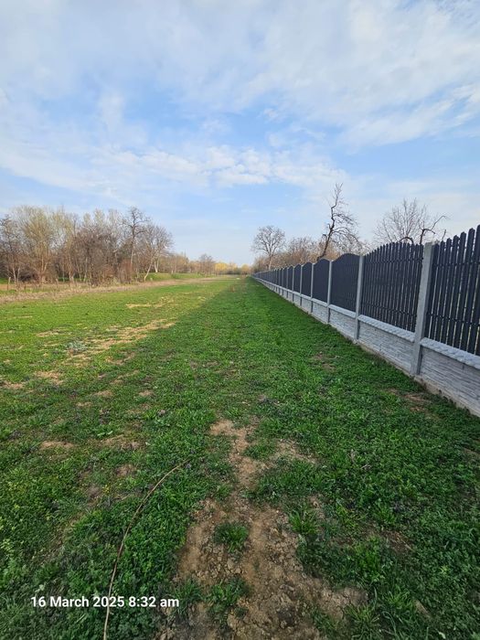 Terenuri de vânzare Criva , Piatra Olt