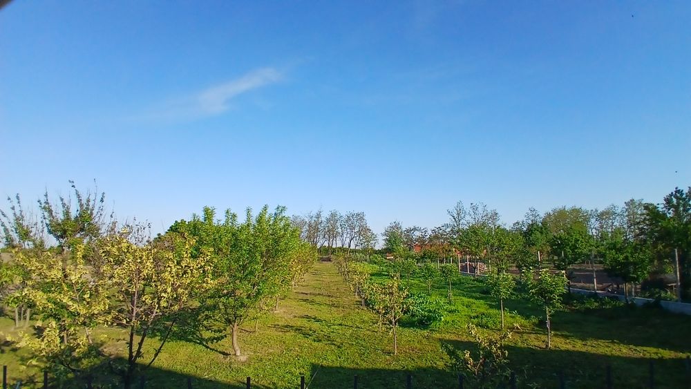 Casa la țară in localitatea Gepiu