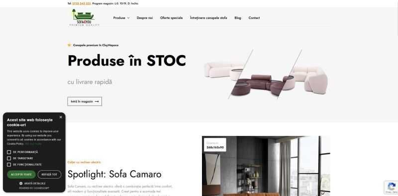 Creare Site Web, Platforme Online, Website prezentare, magazine online