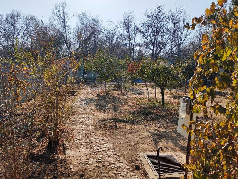 Срочно продается своя дача 9соток Ташморе Бургалик