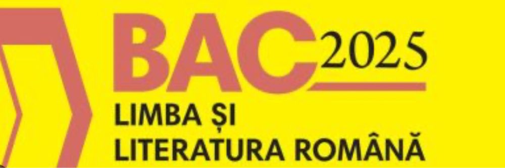 Meditații Limba și Literatura Română