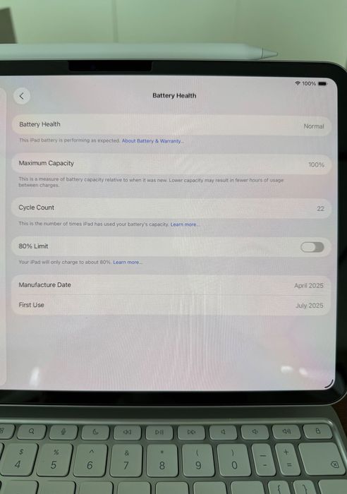 iPad Pro M4 11 inch 256 GB