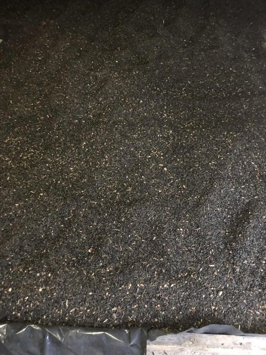 Seminte de floarea-soarelui