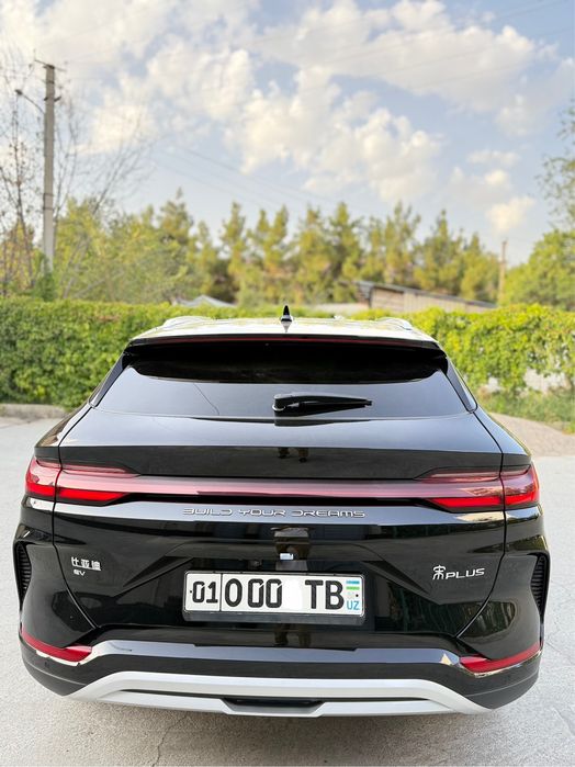 Byd Champion full 605