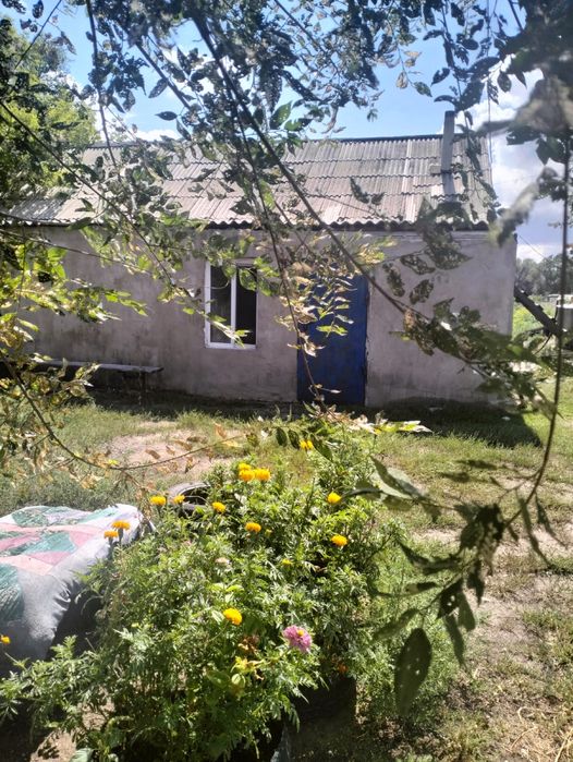 Продам дом с участком  жанаарка атасу