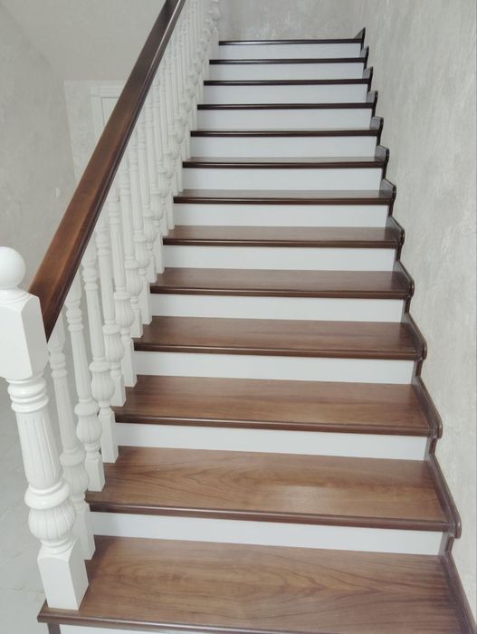 Зина устанопка .