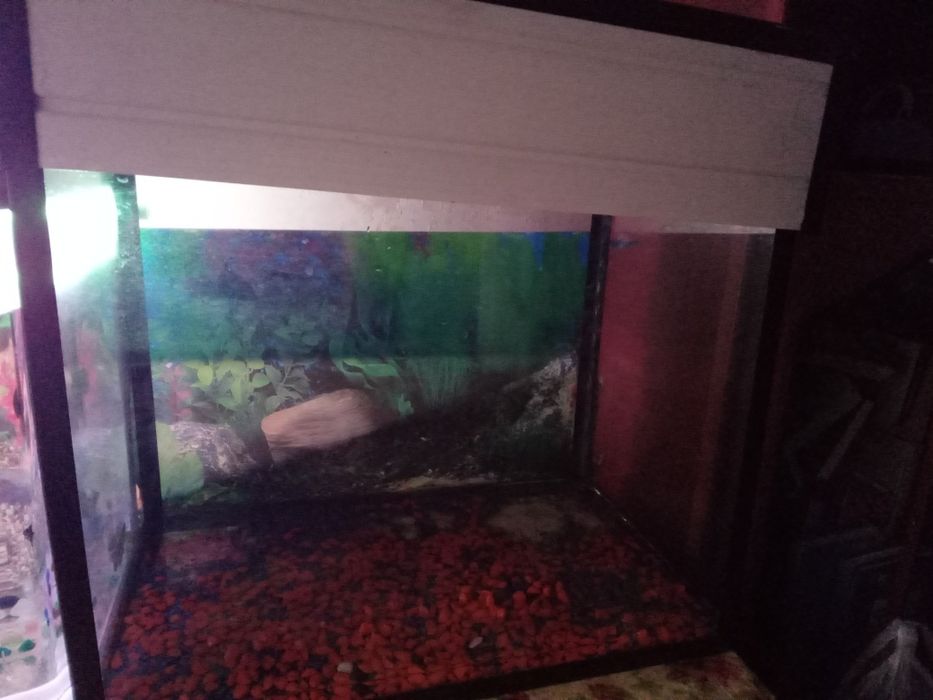 Аквариум 50 литров