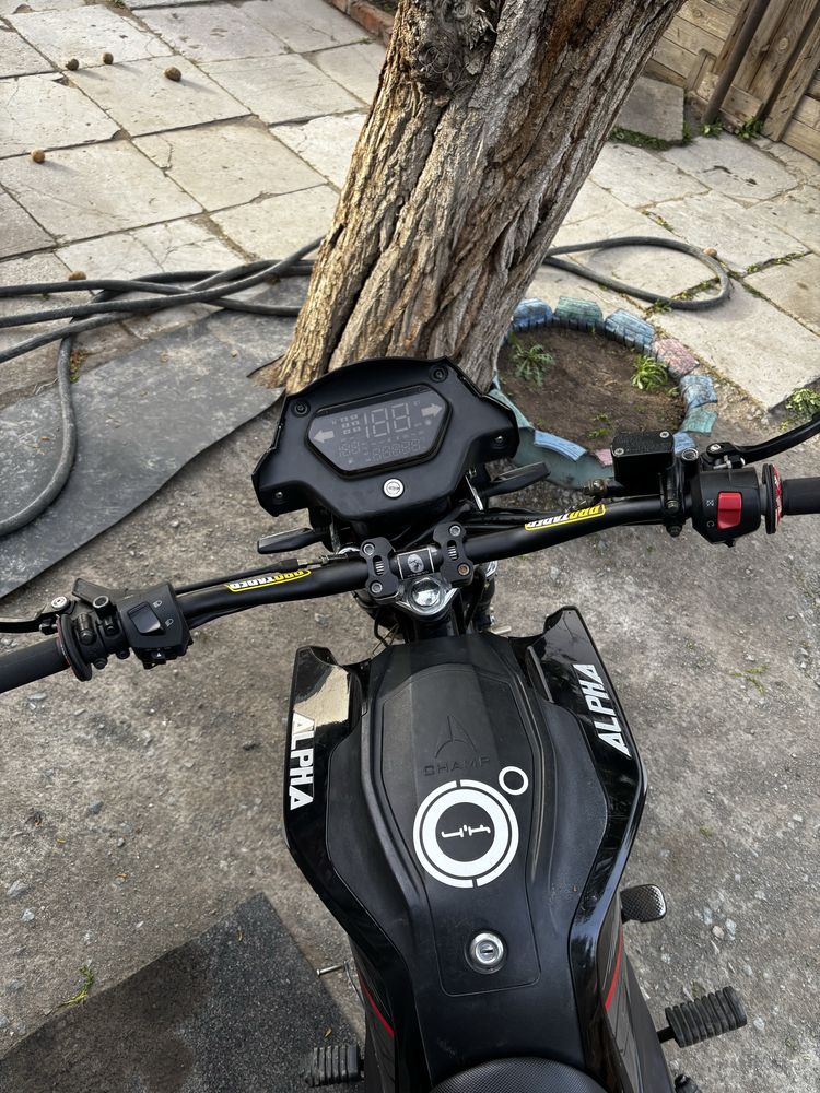 Alpha Champ rs12