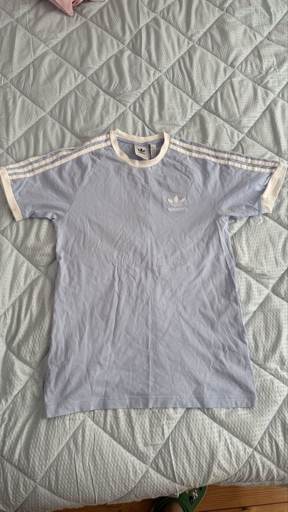 The north face, Ralph lauren, Adidas