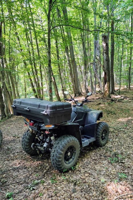 Dinli Evo 800 LOF - EFI EPS 4X4 Crossover
