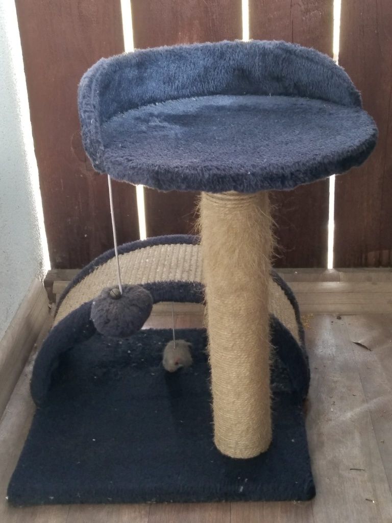 Vand ansamblu de joacă pisica 50 lei