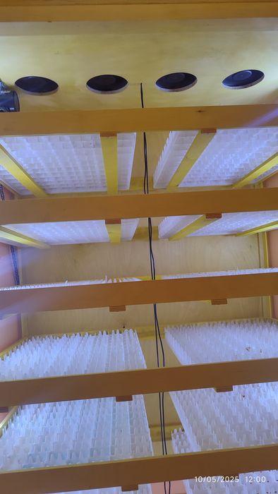 Inkubator sotiladi narxi 5.500 ming 1056 dona tovuq tuxumi sigʻadi