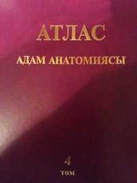 Анатомия атлас Синельников на казахском языке