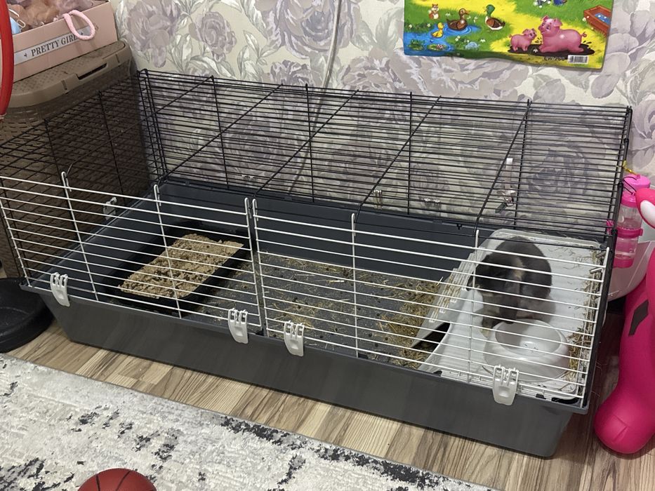 Клетка с кроликом