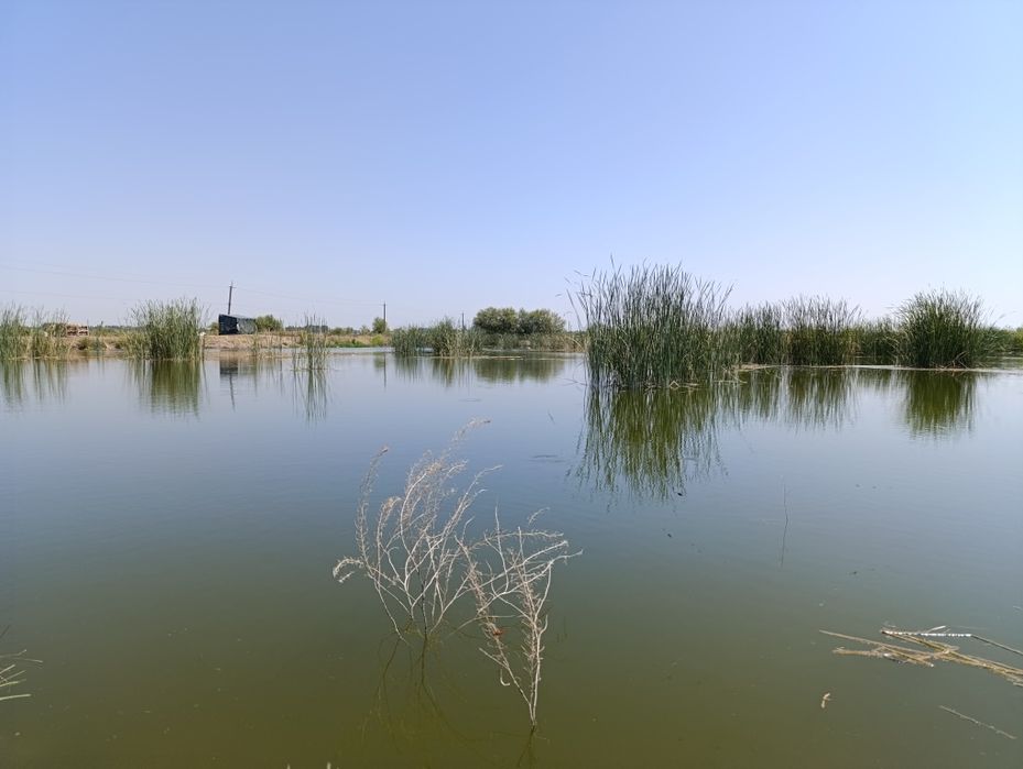 Ташморе. Вдоль реки 4 гектара