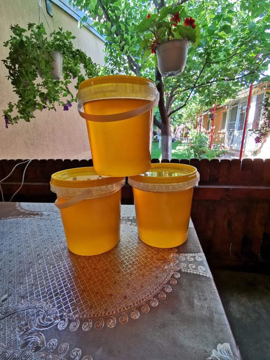 Miere de albina stupina proprie