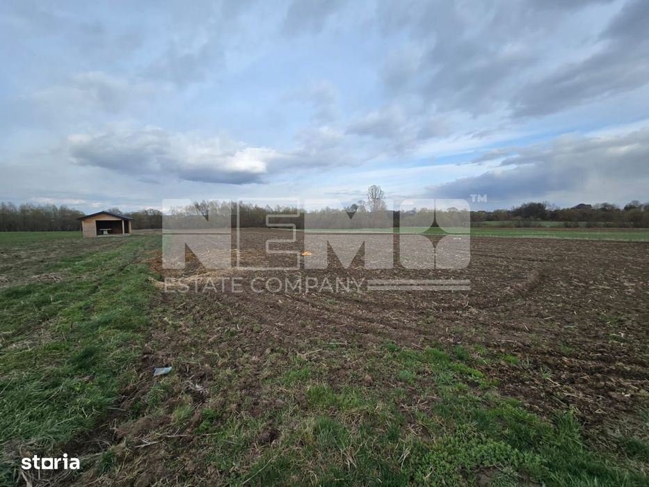 Teren extravilan 29000€ I 33.18 ari I Horodnic