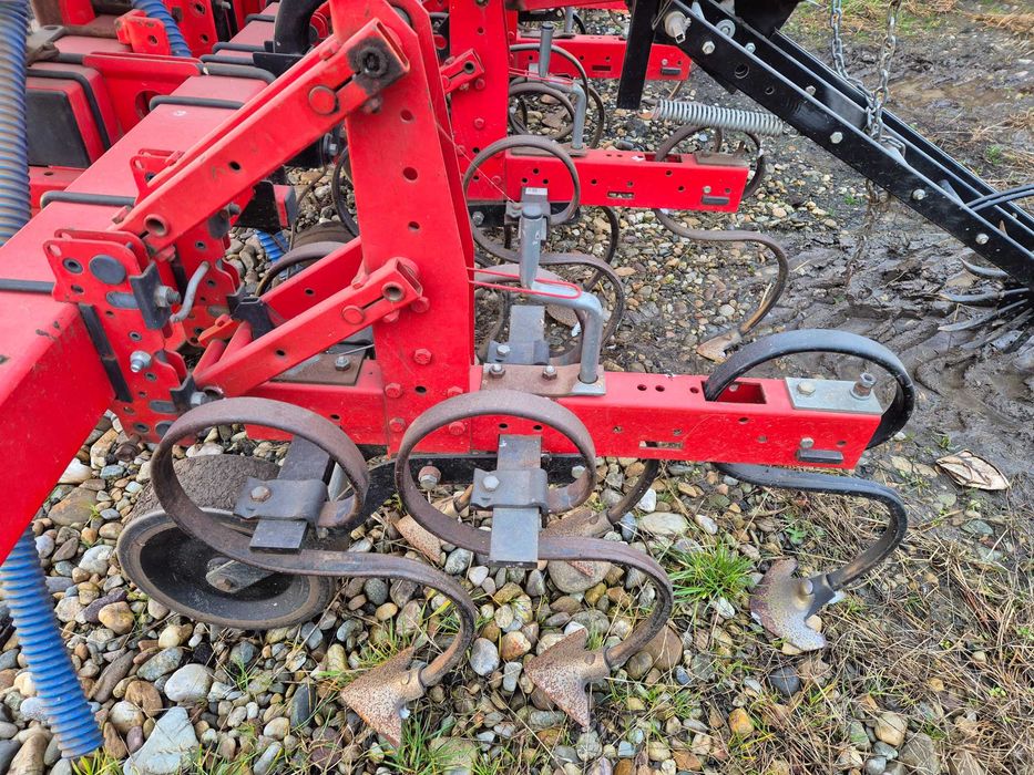 Prasitoare floare porumb