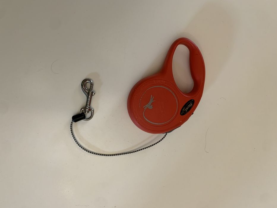 Lesa retractabila caini