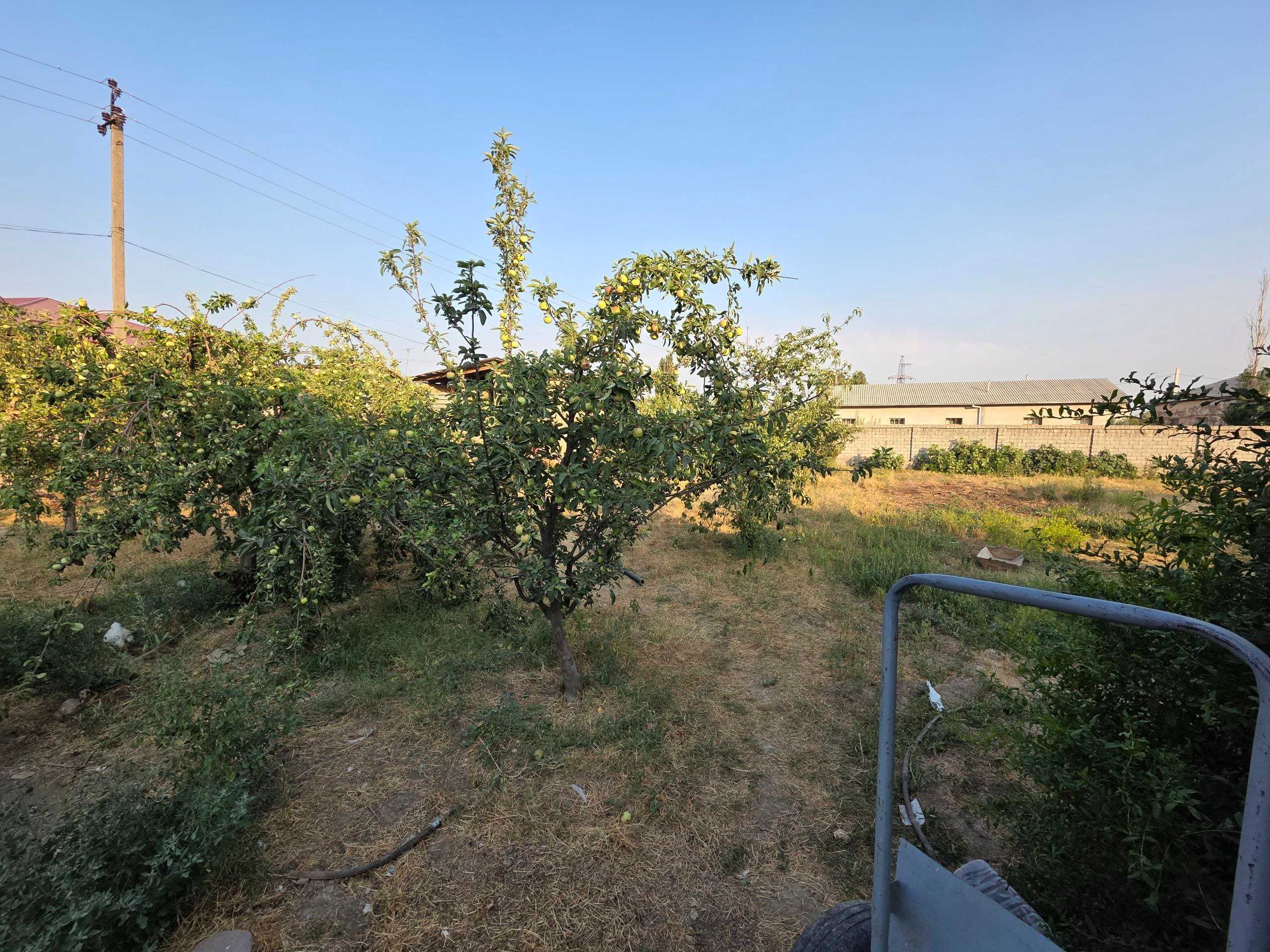Участок Яшнабат, 8 соток, фасад 20×40 

Yashnabot, 8 sotix yer