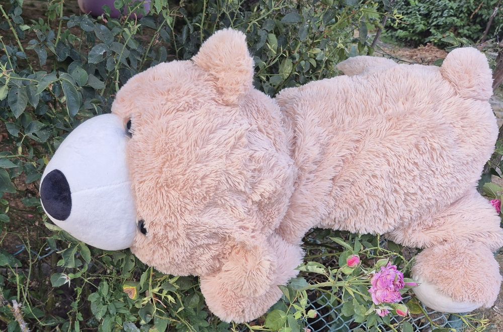 Играчки 10 лв.бр