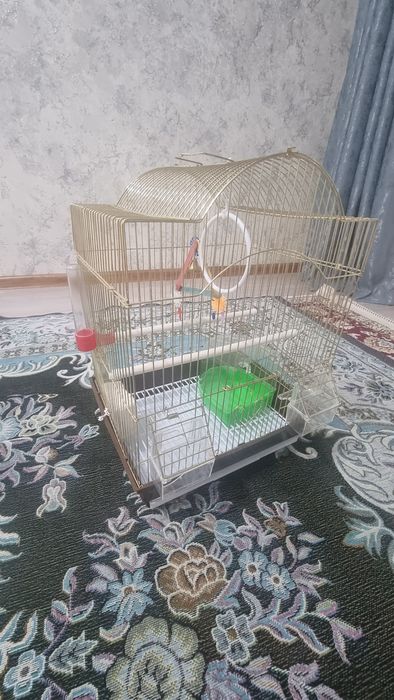 Клетка для попугаев
