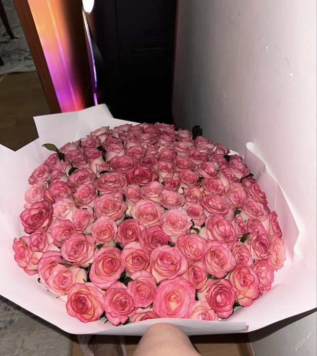 101 розы розовые