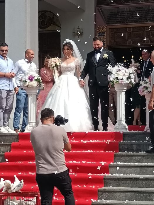Porumbei evenimente Timișoara